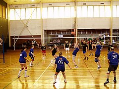 072.jpg